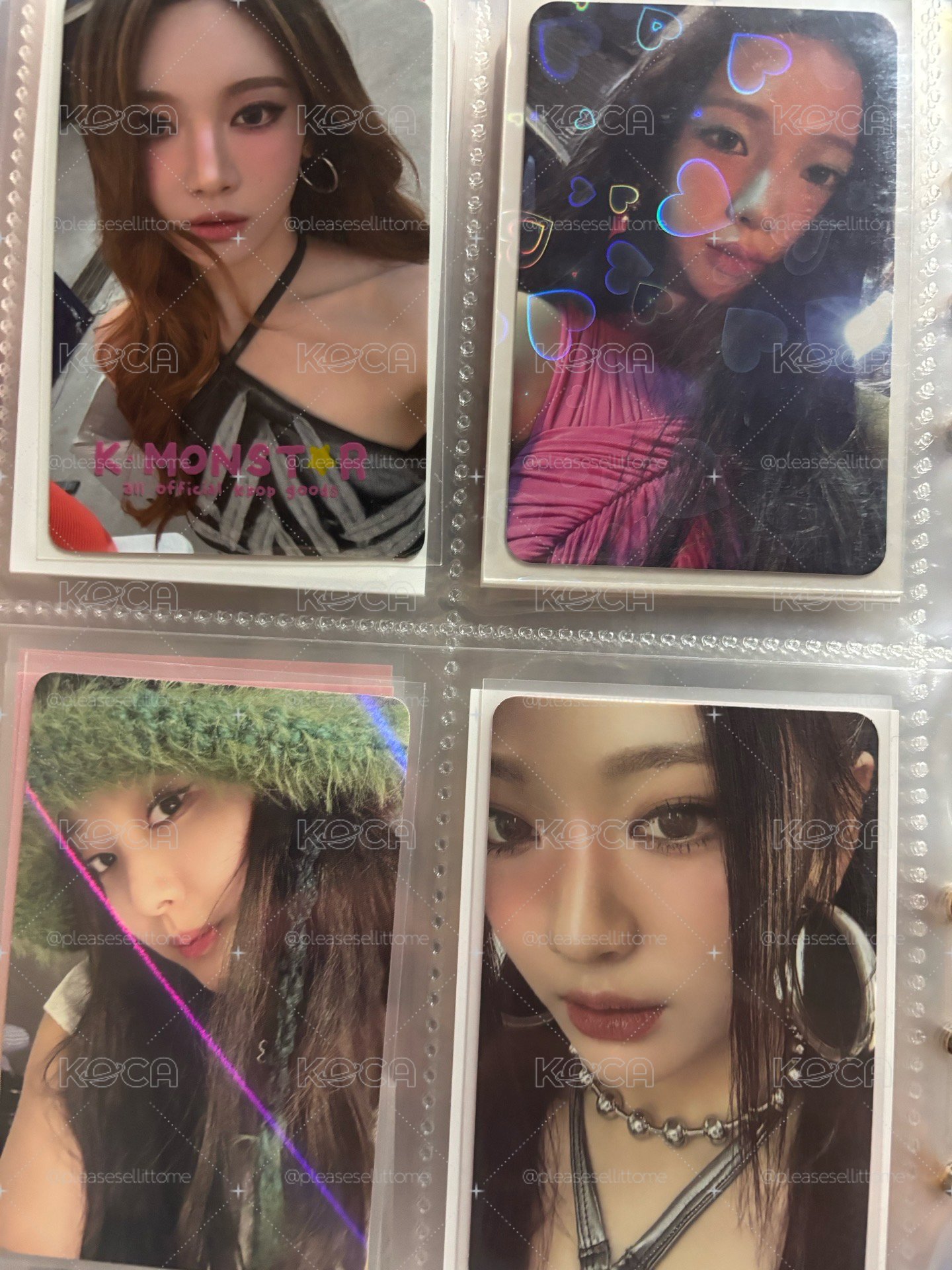 冬小盤