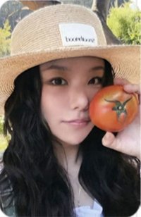 WHEEIN 2026 SEASON'S GREETINGS [FRUITFUL HOLIDAY] k4 特典卡 