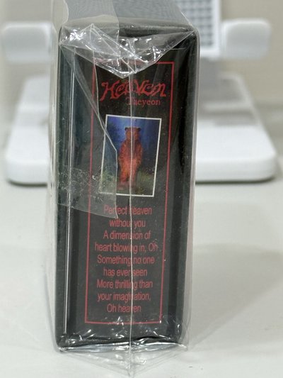現貨 全新 太妍 Heaven 迷你專
