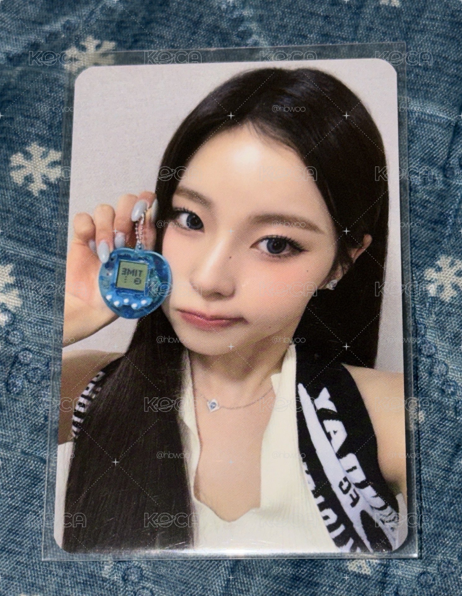 電子雞🐤圭 🐱