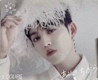 POL wvs 貼紙 