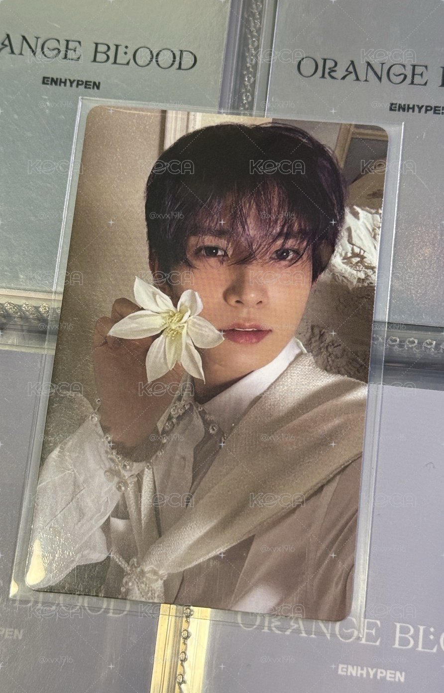 拿花羲