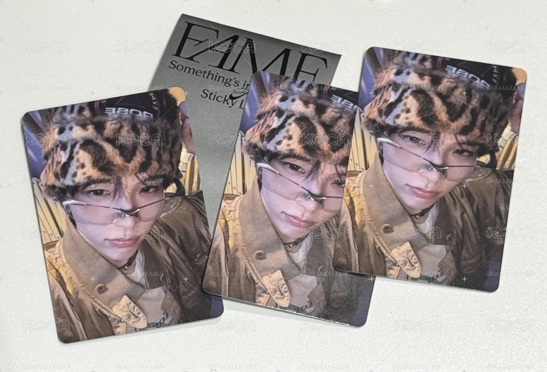FAME 專輯卡 Smini