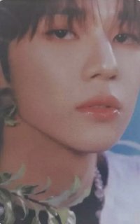 日本出道專 塔店 特典卡 