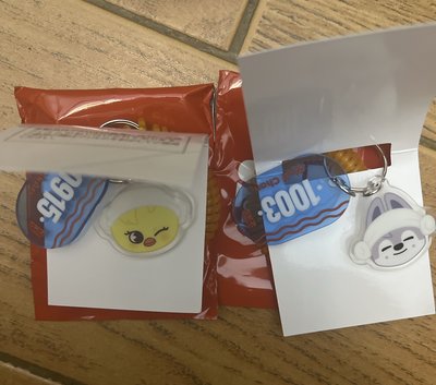 Stray kids 桑拿睡覺吊飾 燦菲