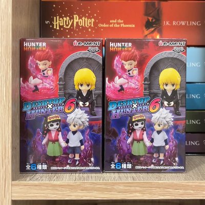 獵人盲盒第6彈（金富力士）