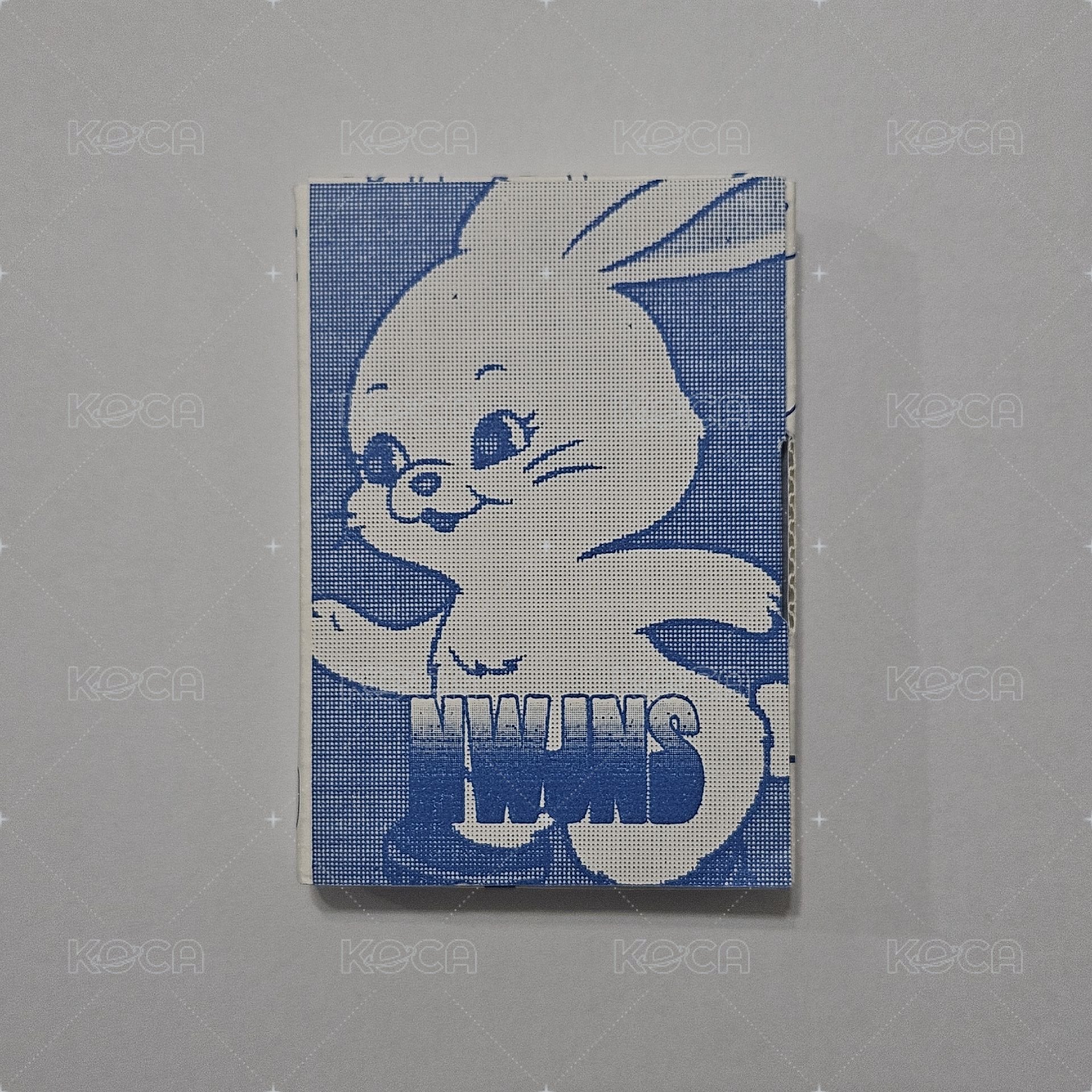 🔵 New Jeans 電子專 空專