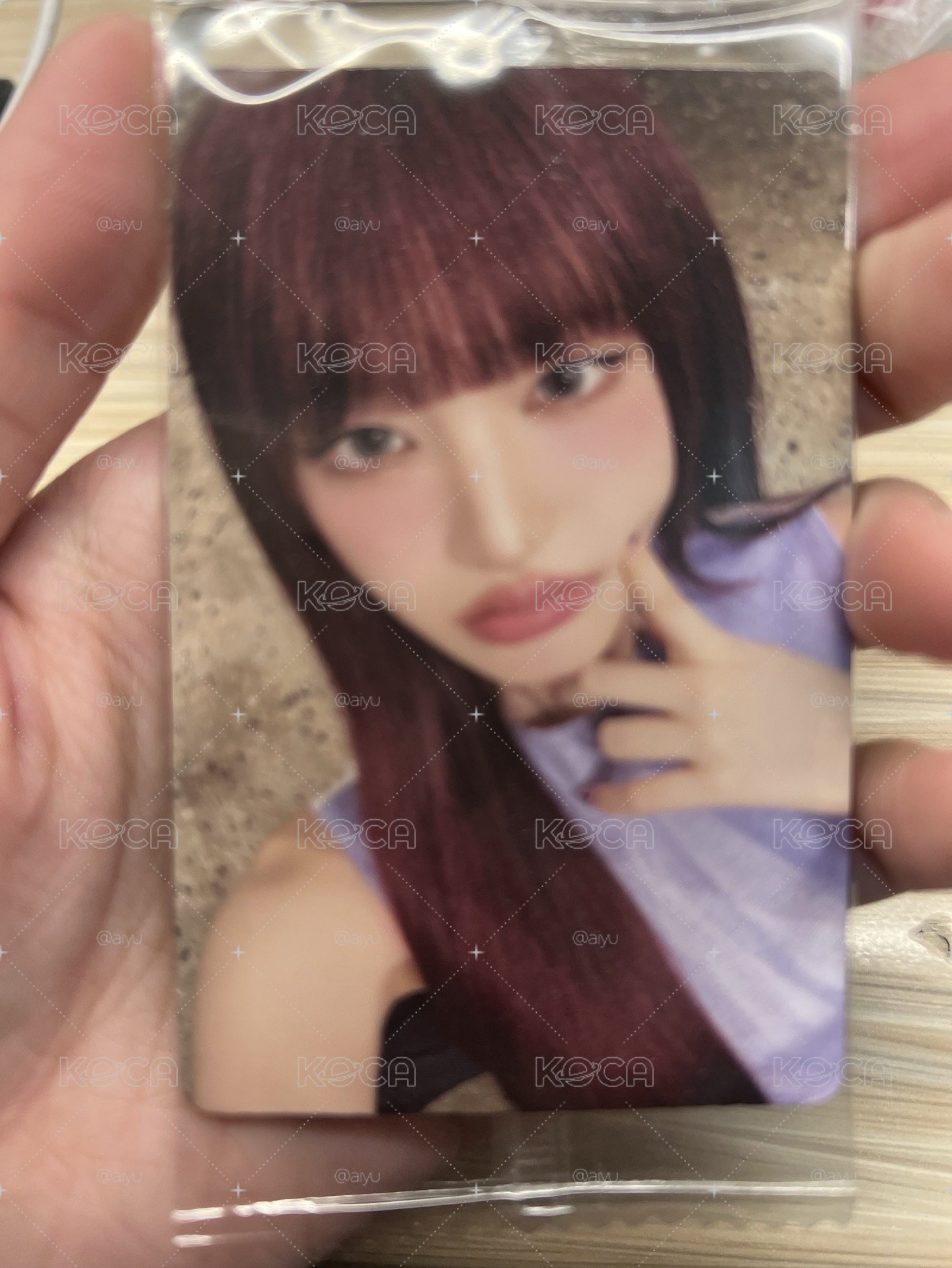 K4栗子