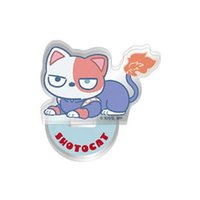 動物系列 焦凍貓