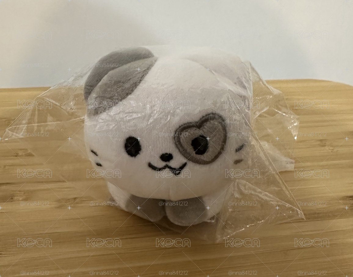 禮志 趴娃
