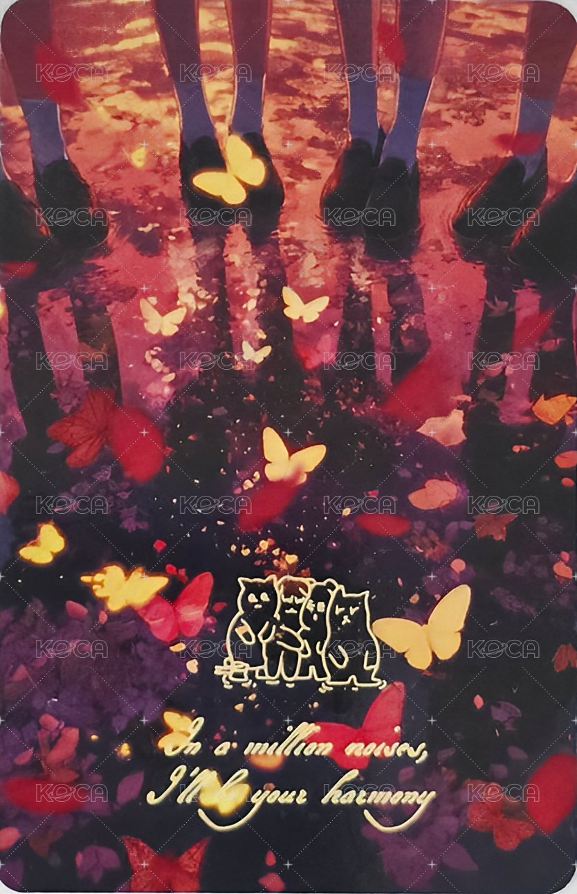 迷三 Dear 打歌卡 簽卡 背面