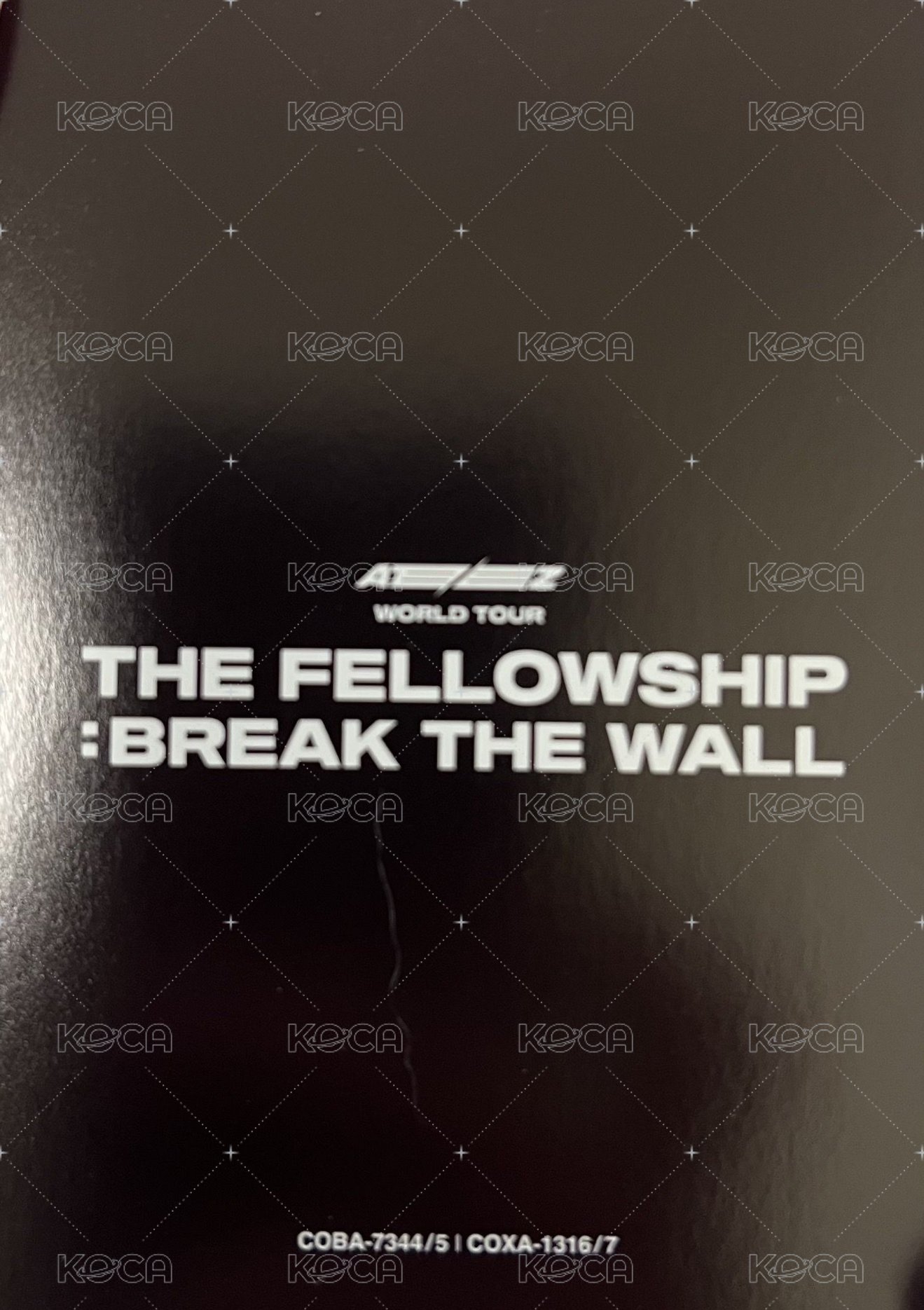 Break the Wall 演唱會 DVD / CD 卡 日本場藍光 背面