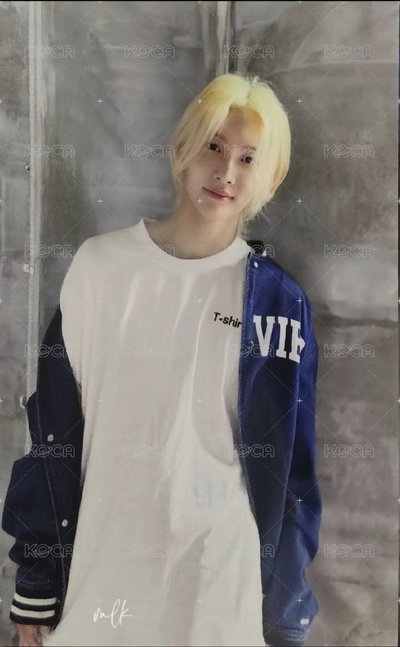 wvs 抽選卡 拳王卡 哲 漢 秀