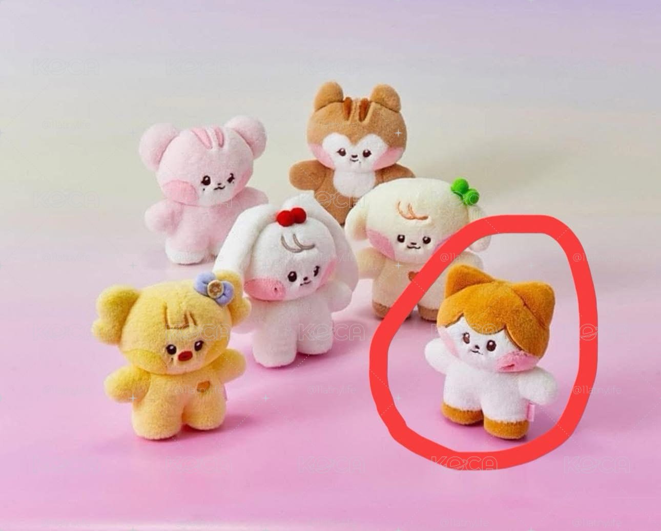 linefriend栗中娃+兩張綁卡