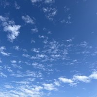 你要嗎
