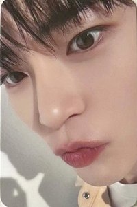 24'SG 雪店 日本 特典卡 Snowshop