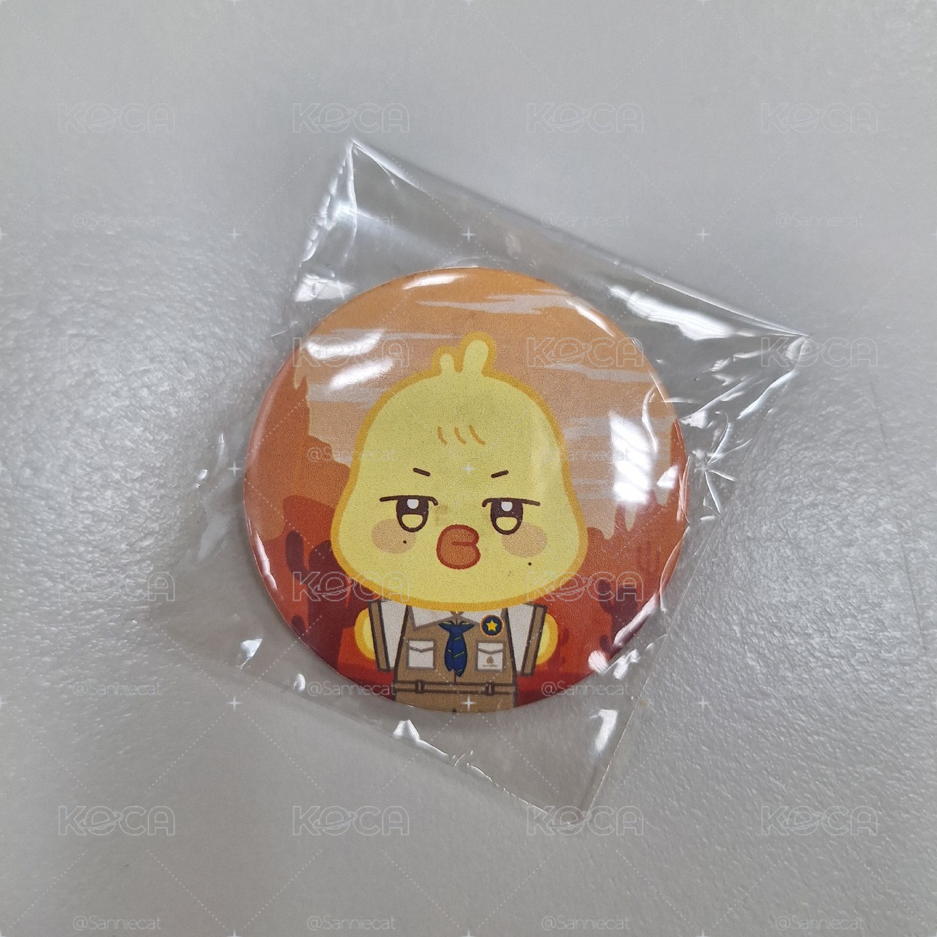 ANITEEZ IN TREASURE 蹦旼的徽章