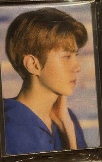 19年曆 11STREET 特典卡 