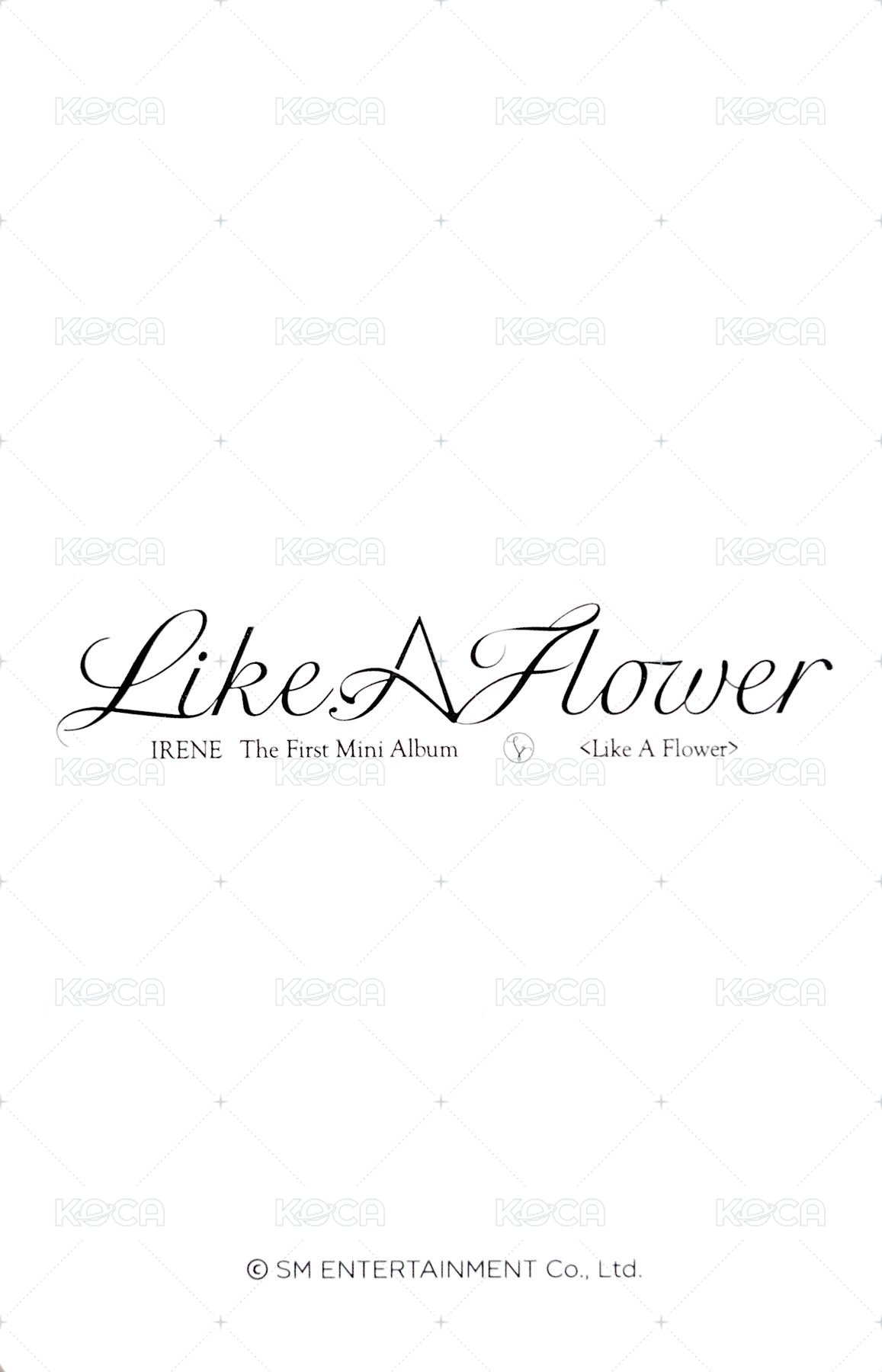 Like A Flower ms 特典卡  背面