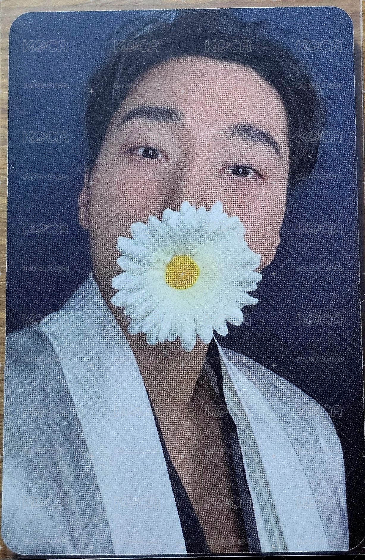性感的咬花的傘