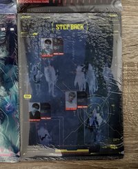 指定版本-step back