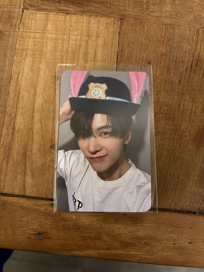 正規一wm 簽售卡 石馬修 動物方城市ver.