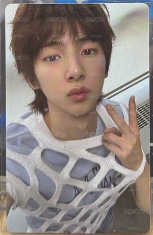 wvs年末訓