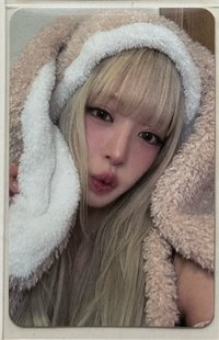 兔毯彩（大損）