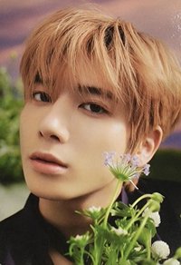 23‘巡迴 隨機卡 