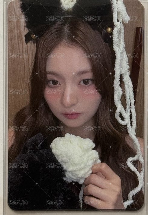 貓耳炅