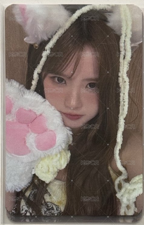 貓耳河