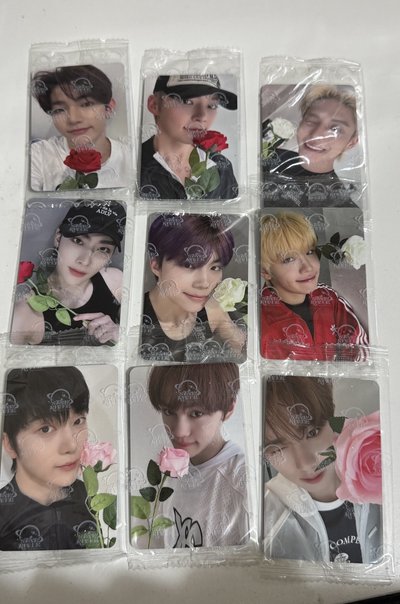 ZB1 七夕玫瑰特典一套 中文卡背 可單收