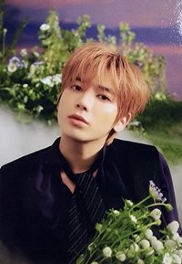 23‘巡迴 隨機卡 