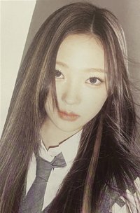 Focus 明信片 PB ver.