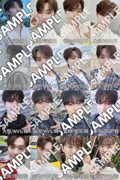 (一鍵畢業) SVT 李燦 DINO 消費期限+MINI12 場限卡