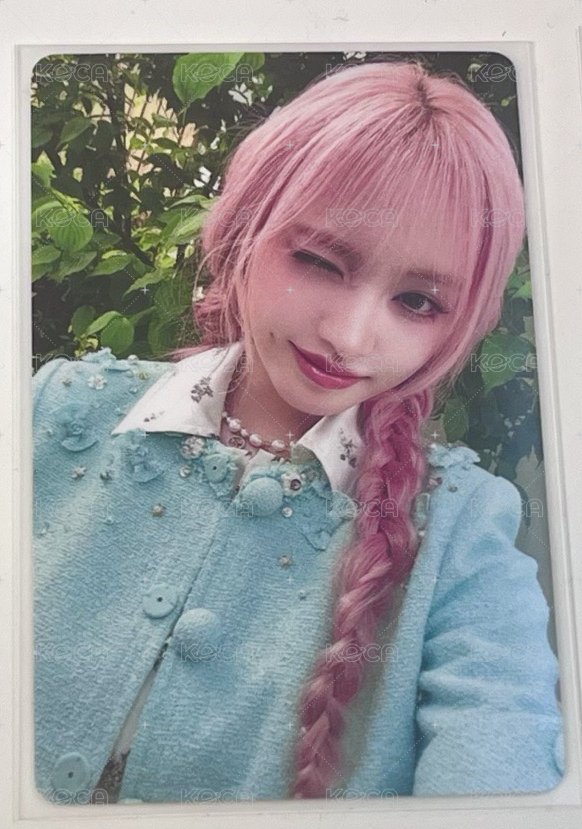 🐈1(和2一起)