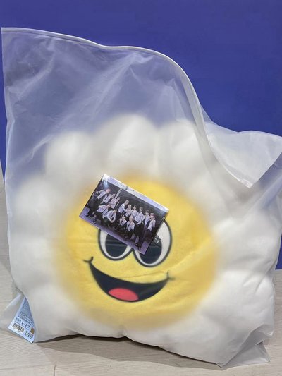 Follow Again 抱枕 太陽花抱枕