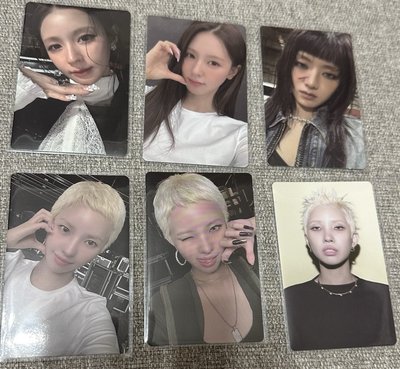 迷八 we are 專卡 薇娟 舒華 米妮 小娟 電子專 QR 美專 smini 