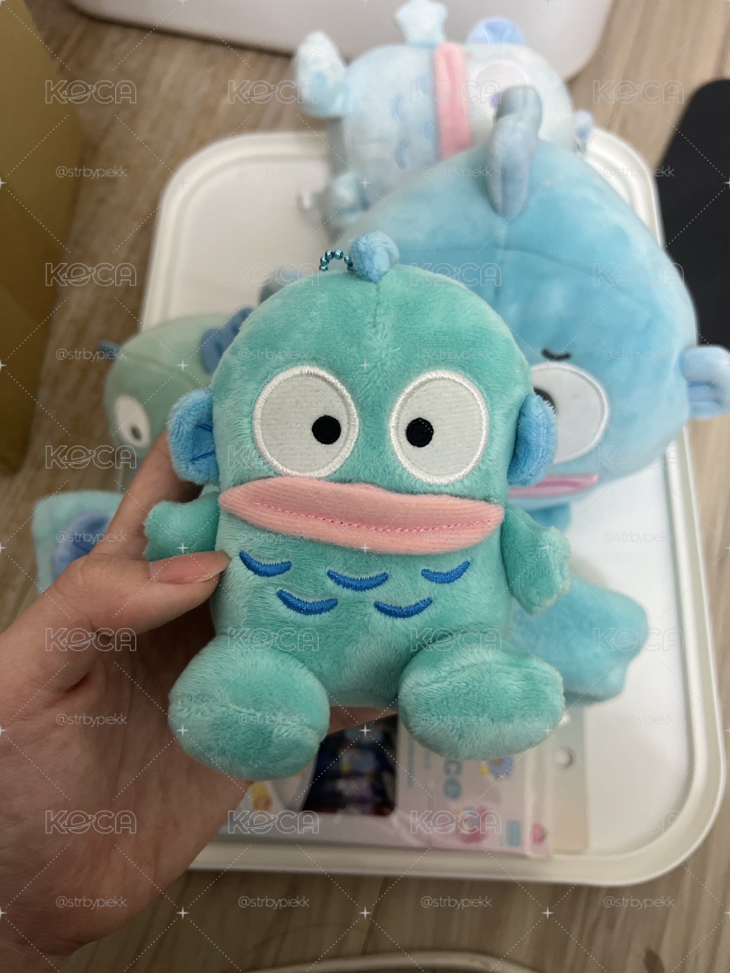 漢頓娃娃