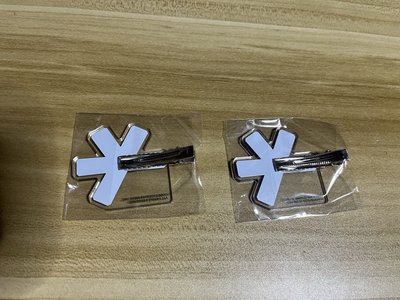 (🏰現貨）I-dle 日本 一番賞 髮夾