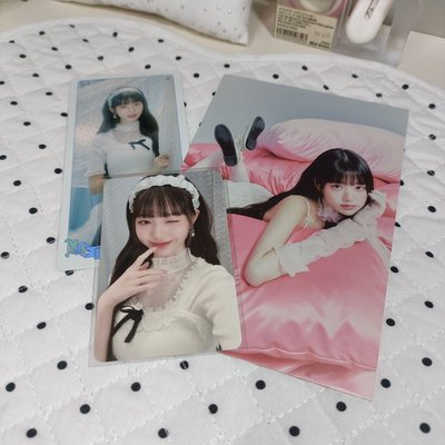 2024年曆固配成員set