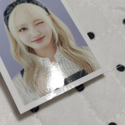 2025年曆固配成員set