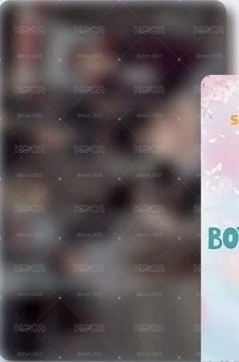2026 高雄櫻花季 0313入場卡