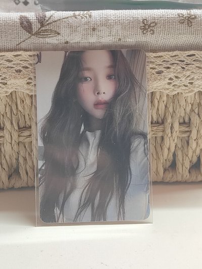 早期専卡柚(我直接給💯