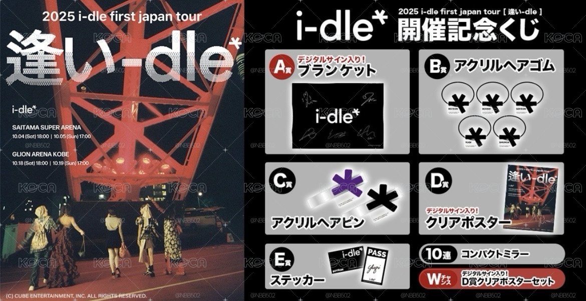 (🏰現貨）I-dle 日本 一番賞 B賞髮夾