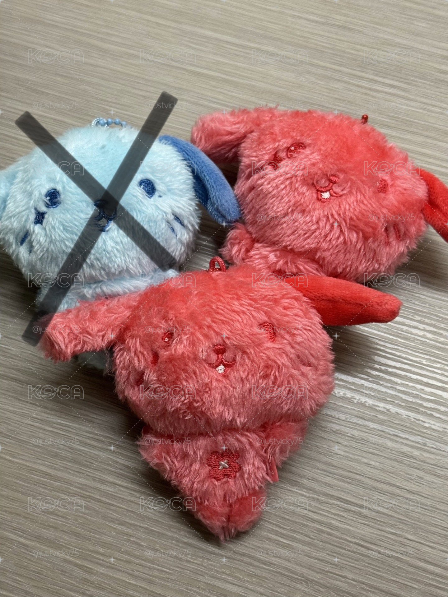 帶一隻紅色小狗回家吧