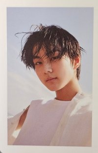 正一 新那拉 特典卡 