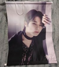 日本蛋巡掛軸 寅