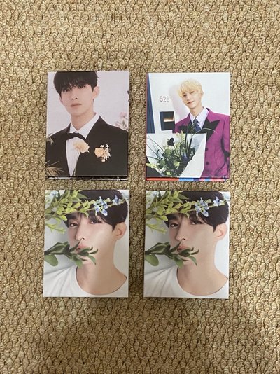 SEVENTEEN DK 李碩珉 克拉盤