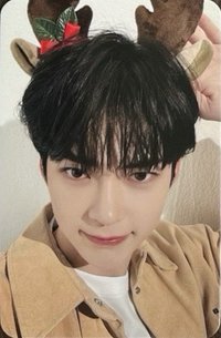 24'SG gm 特典卡 麋鹿